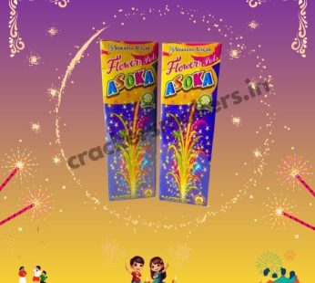 Flower Pots Ashoka