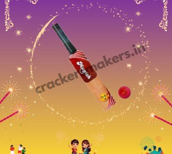Cricket bat